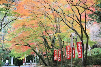 毘沙門堂の風景