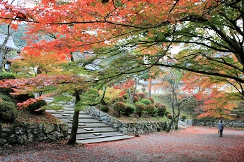毘沙門堂の風景