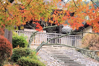 毘沙門堂の風景