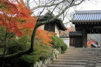 毘沙門堂の風景