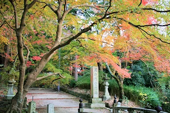毘沙門堂の風景