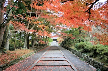 毘沙門堂の風景