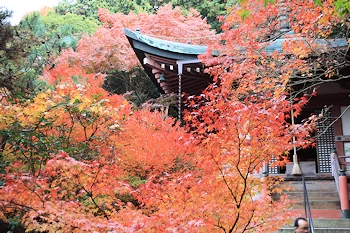 毘沙門堂の風景