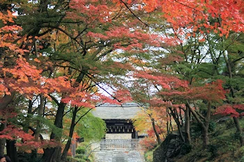 毘沙門堂の風景