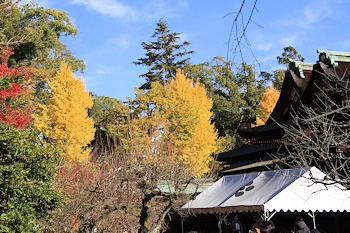 北野天満宮の風景