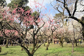 北野天満宮の風景