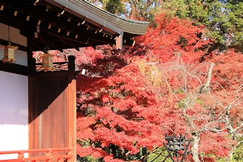 北野天満宮の風景