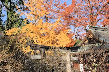 北野天満宮の風景