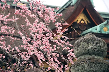 北野天満宮の風景