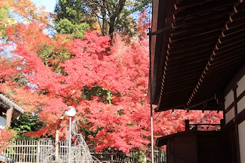 北野天満宮の風景
