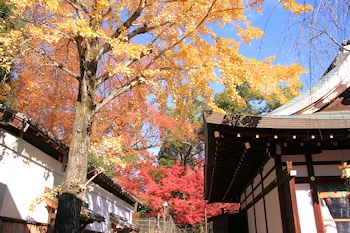 北野天満宮の風景