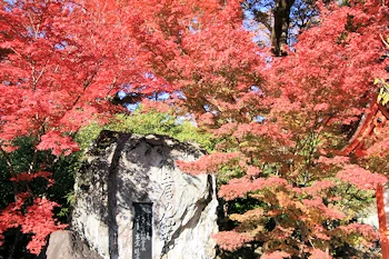 北野天満宮の風景