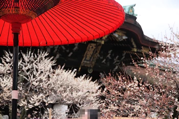北野天満宮の風景