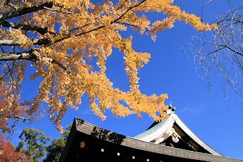 北野天満宮の風景