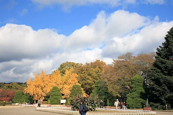 府立植物園の風景