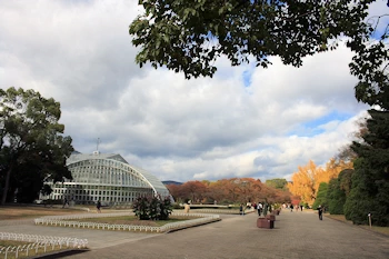 府立植物園の風景