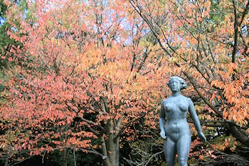 府立植物園の風景