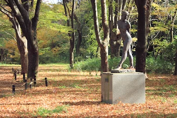 府立植物園の風景