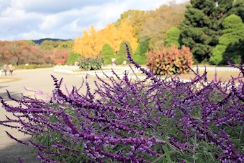 府立植物園の風景