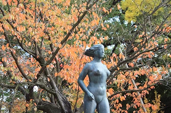 府立植物園の風景