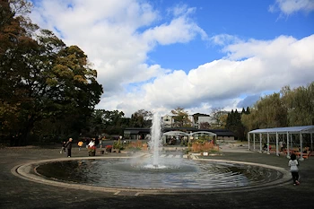 府立植物園の風景