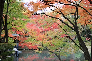 府立植物園の風景
