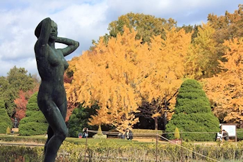 府立植物園の風景