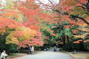 府立植物園の風景