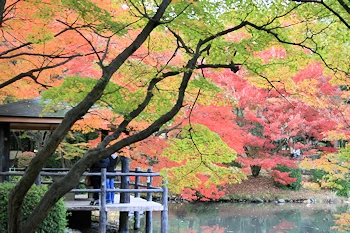 府立植物園の風景
