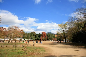 府立植物園の風景