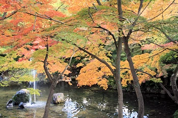 円山公園の風景