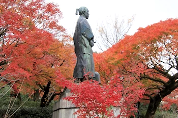 円山公園の風景