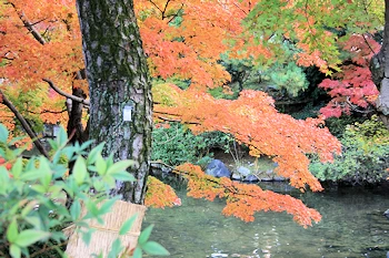 円山公園の風景