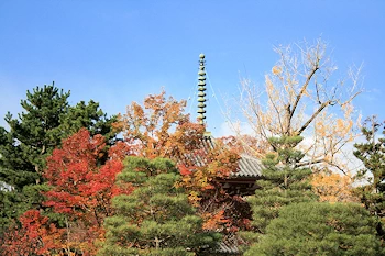 知恩院の風景