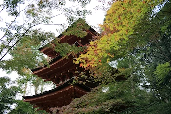 浄瑠璃寺の風景