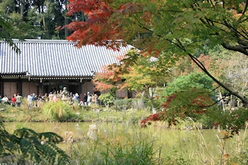 浄瑠璃寺の風景