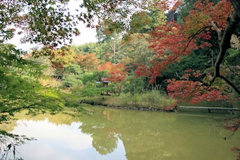 浄瑠璃寺の風景