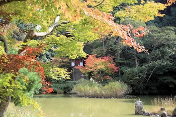 浄瑠璃寺の風景