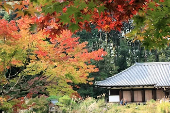 浄瑠璃寺の風景