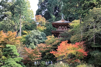 浄瑠璃寺の風景