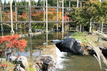 水景園の風景