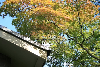 岩倉具視旧宅の風景