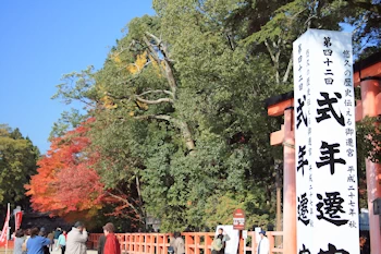 上賀茂神社の風景