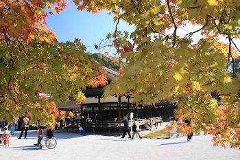 上賀茂神社の風景