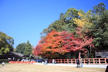 上賀茂神社の風景