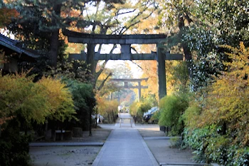 梨木神社の風景