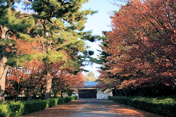 梨木神社の風景