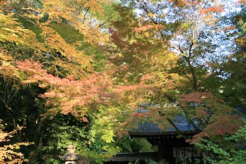 梨木神社の風景