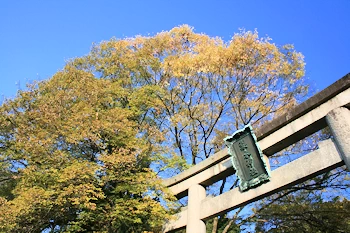 梨木神社の風景