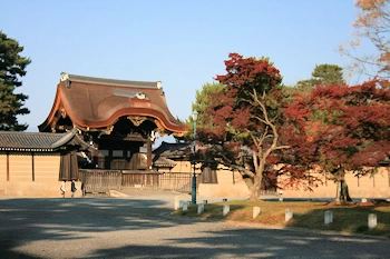 京都御苑の風景